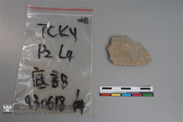 陶片藏品圖，第2張