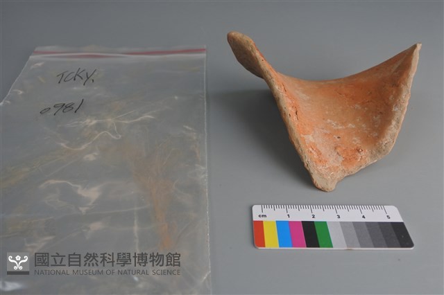陶片藏品圖，第2張