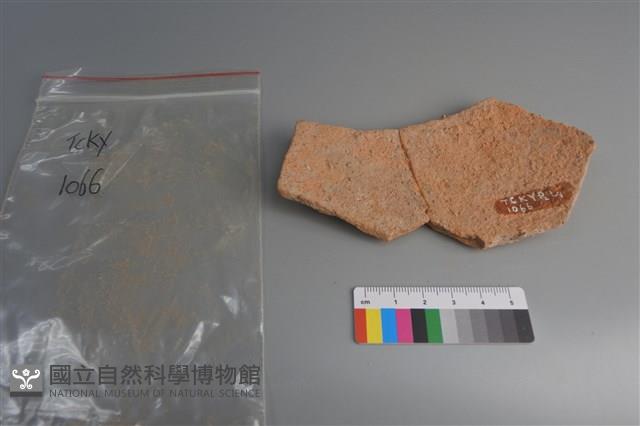 陶片藏品圖，第2張