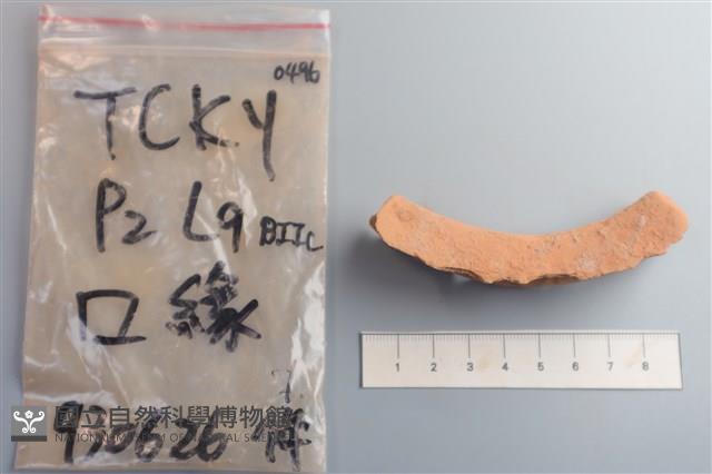 陶片藏品圖，第2張