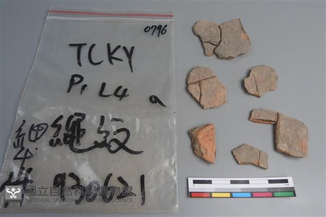 陶片藏品圖，第2張