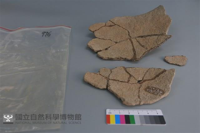 陶片藏品圖，第2張