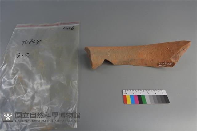 陶片藏品圖，第2張