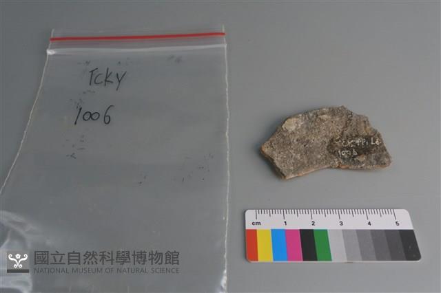 陶片藏品圖，第2張