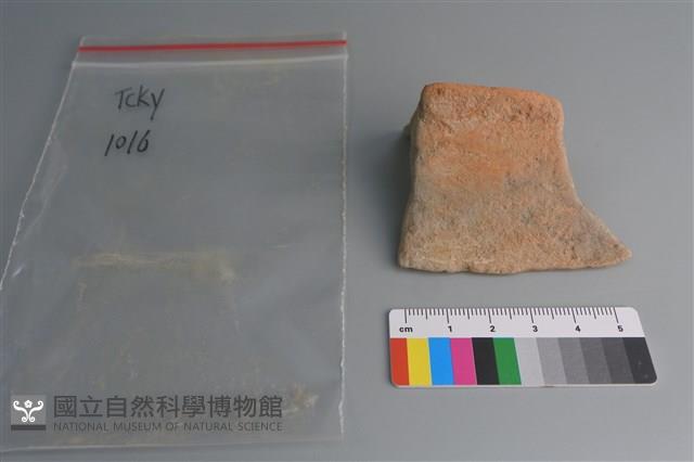 陶片藏品圖，第2張