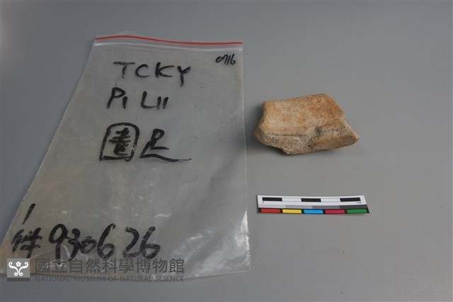 陶片藏品圖，第2張