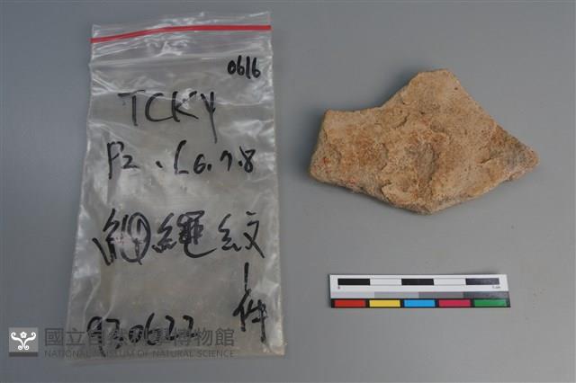 陶片藏品圖，第2張