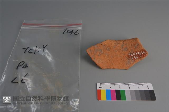 陶片藏品圖，第2張