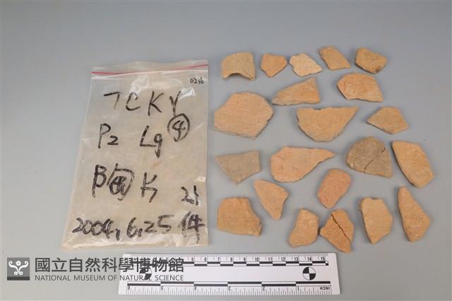 陶片藏品圖，第2張