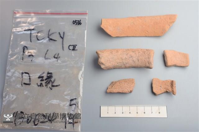 陶片藏品圖，第2張