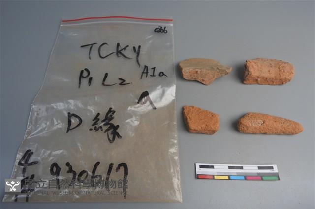 陶片藏品圖，第2張