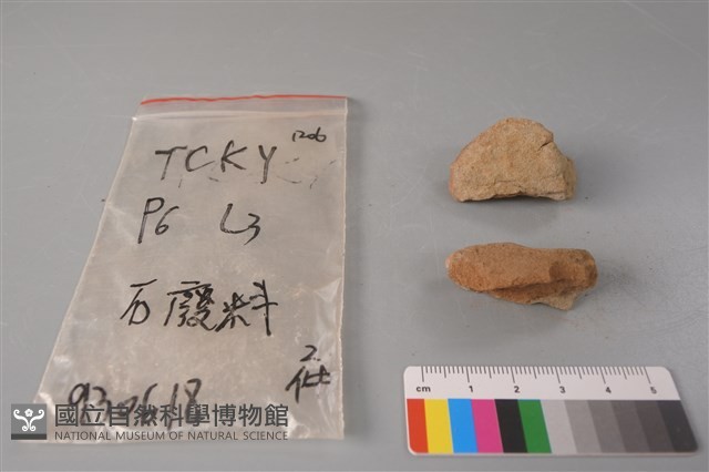 帶加工痕石材藏品圖，第2張
