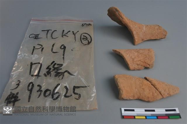 陶片藏品圖，第2張