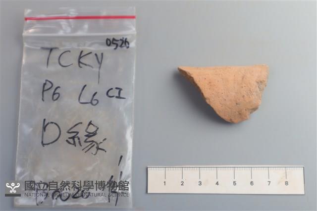 陶片藏品圖，第2張