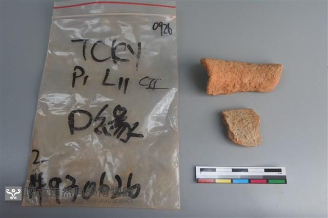 陶片藏品圖，第2張