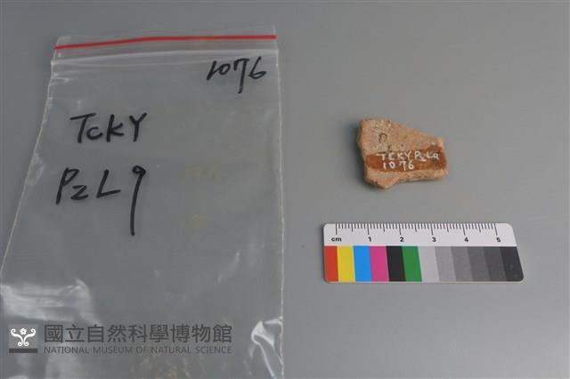 陶片藏品圖，第2張