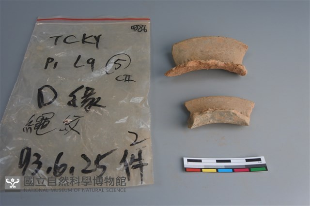 陶片藏品圖，第2張