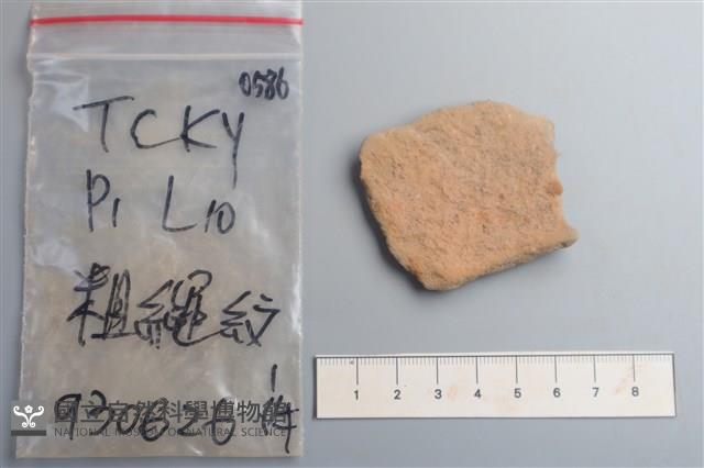 陶片藏品圖，第2張