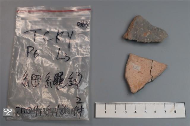 陶片藏品圖，第2張