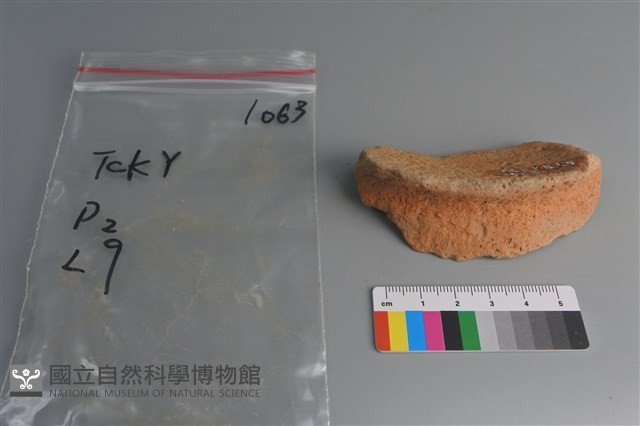 陶片藏品圖，第2張