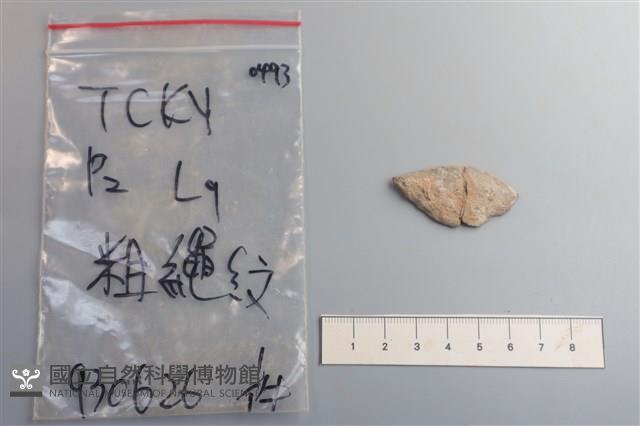 陶片藏品圖，第2張