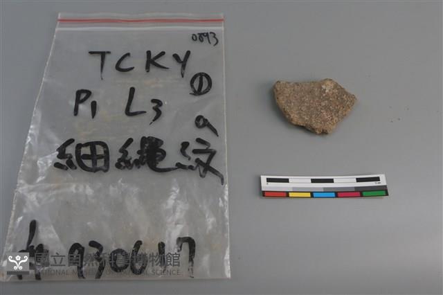 陶片藏品圖，第2張