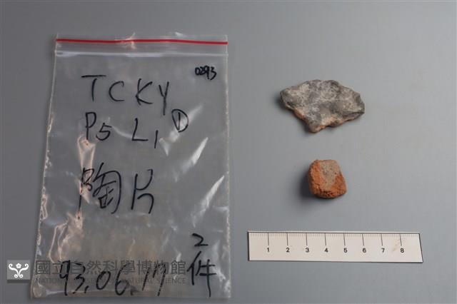 Accession Number:TCKY0293 Collection Image, Figure 2, Total 2 Figures