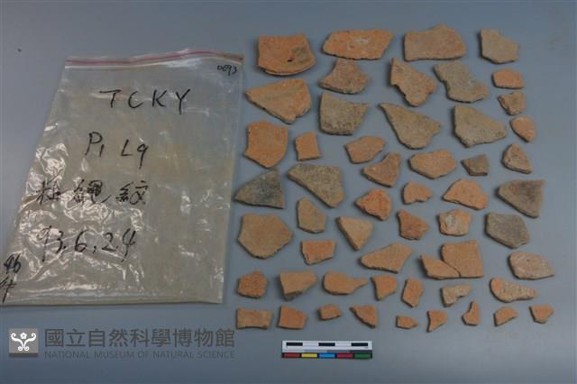 陶片藏品圖，第2張