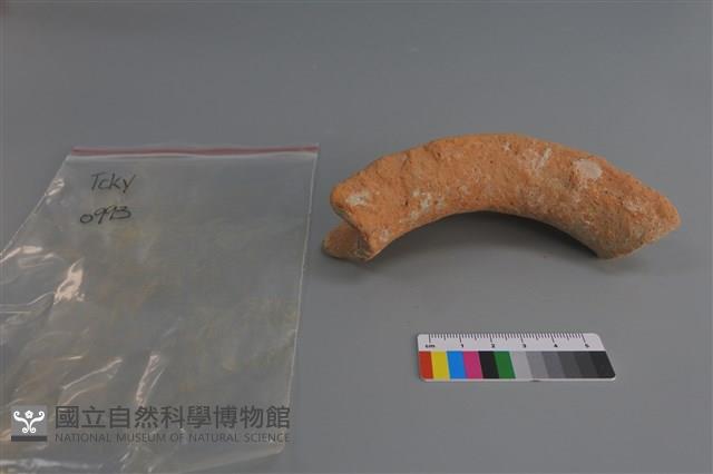 陶片藏品圖，第2張