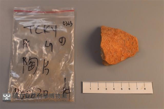 陶片藏品圖，第2張