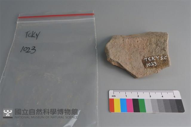 陶片藏品圖，第2張