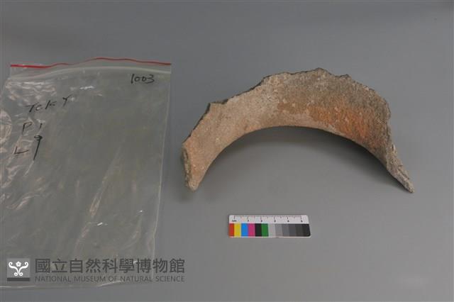 陶片藏品圖，第2張