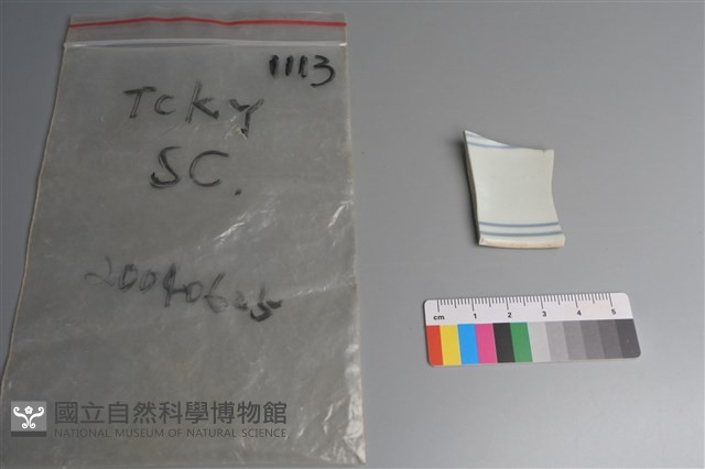 瓷片藏品圖，第2張