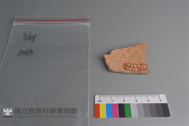 陶片藏品圖，第2張