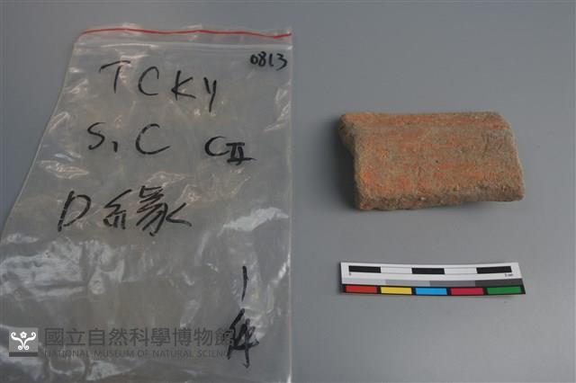 陶片藏品圖，第2張