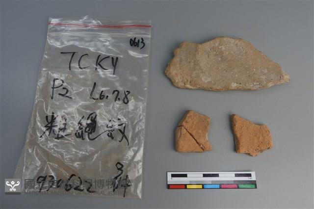 陶片藏品圖，第2張