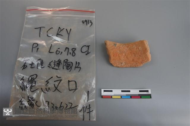 陶片藏品圖，第2張