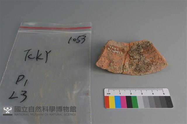 陶片藏品圖，第2張