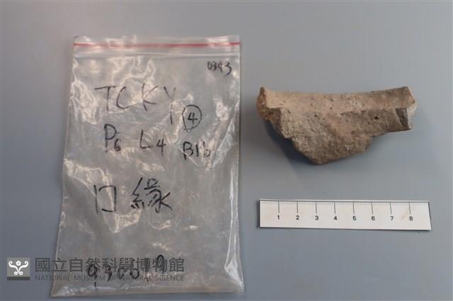 陶片藏品圖，第2張
