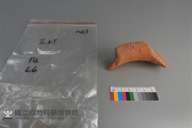 陶片藏品圖，第2張