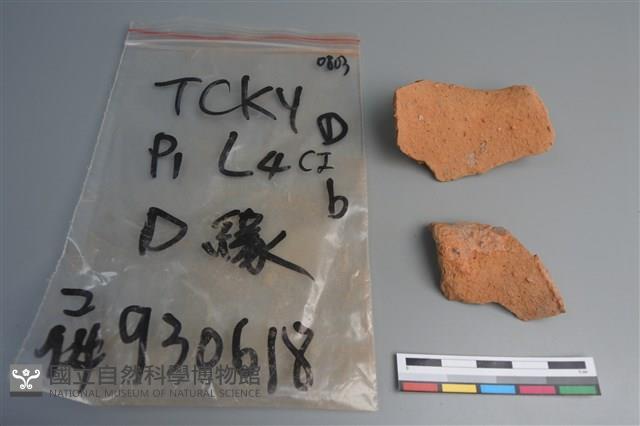 陶片藏品圖，第2張