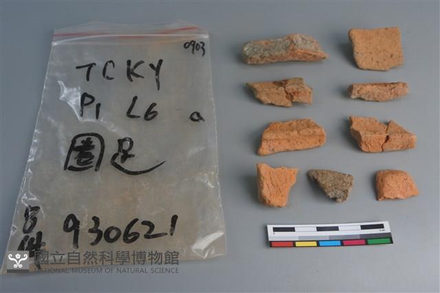 陶片藏品圖，第2張