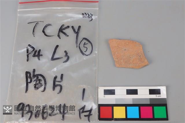 陶片藏品圖，第2張