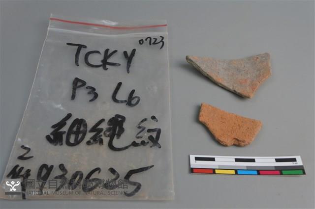 陶片藏品圖，第2張