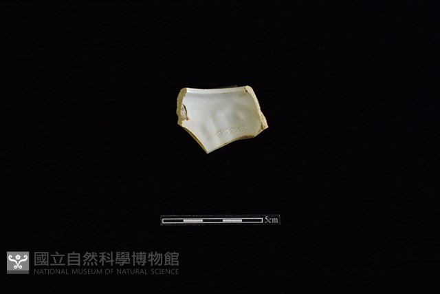 瓷片藏品圖，第2張
