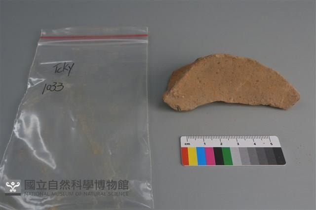 陶片藏品圖，第2張