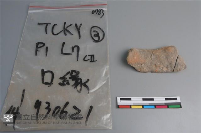 陶片藏品圖，第2張