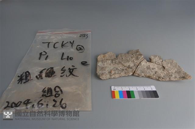 陶片藏品圖，第2張