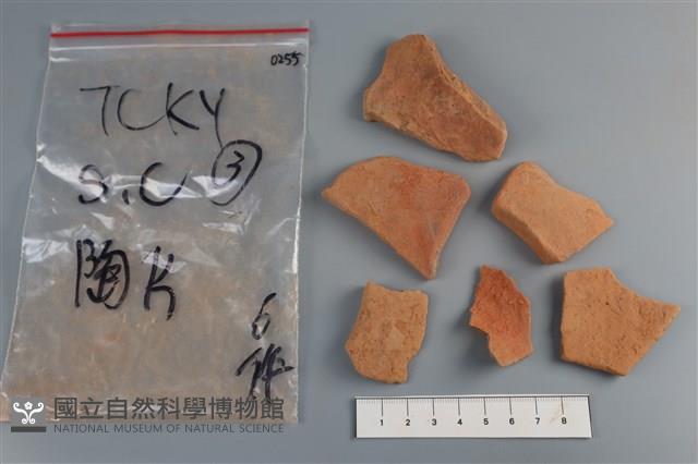 陶片藏品圖，第2張