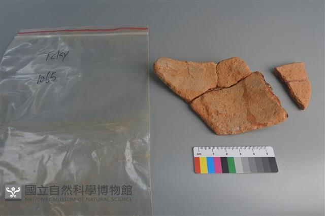 陶片藏品圖，第2張